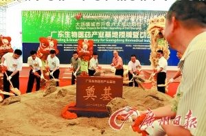 广东省生物医药产业基地奠基现场。记者陈枫摄 广东省生物医药产业基地奠基现场。记者陈枫摄