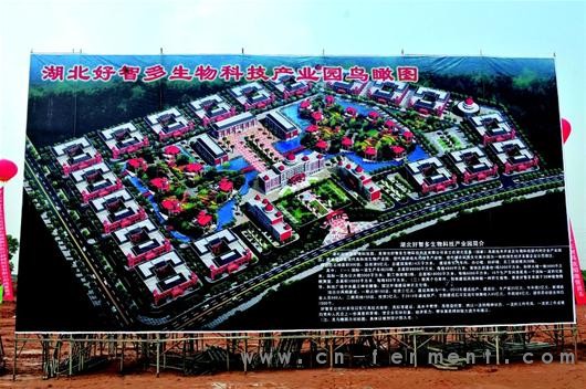三峡晚报讯 参加奠基仪式与会领导和企业家启动开工仪式水晶球