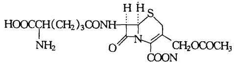 头孢菌素类产品的市场情况及头孢菌素C发酵工艺的探讨 - 龙腾飞 - 杨龙的博客