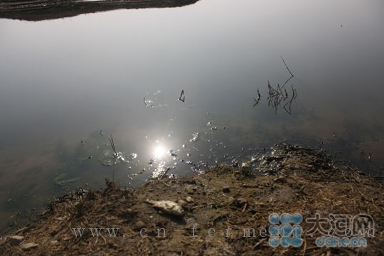 河南南阳药厂倾倒药渣污染河流 投诉多年无人管