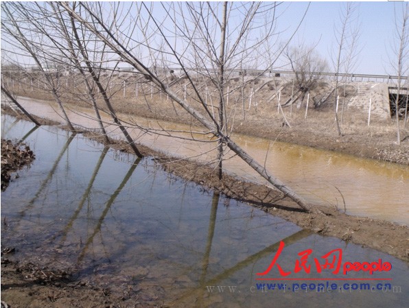 两道被隔断开的水流平行向前，一米之隔，颜色对比明显（人民网记者 彭亮 摄）