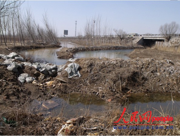 水流被用沙袋人为阻断，东段较清澈，西段呈现黄绿色（人民网记者 彭亮 摄）