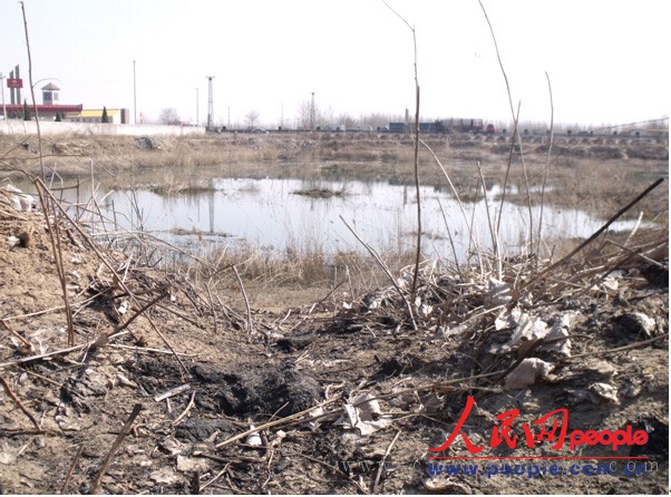 梅花味精厂原先排放污水的大坑（人民网记者 彭亮 摄）