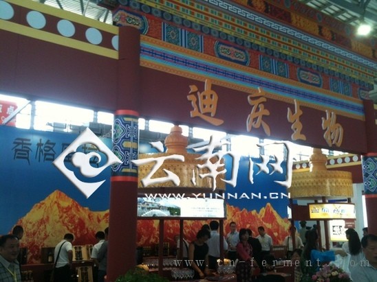 点击图片分享到上海滩微博