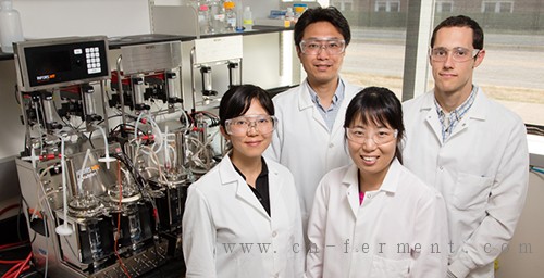 Nature子刊：研究利用工程酵母消耗生物燃料副产品 提高乙醇产量