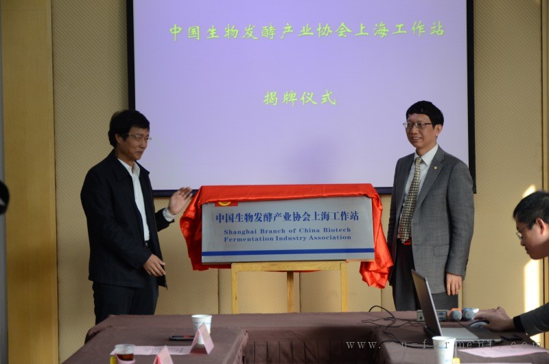 涂善东、石维忱为工作站揭牌