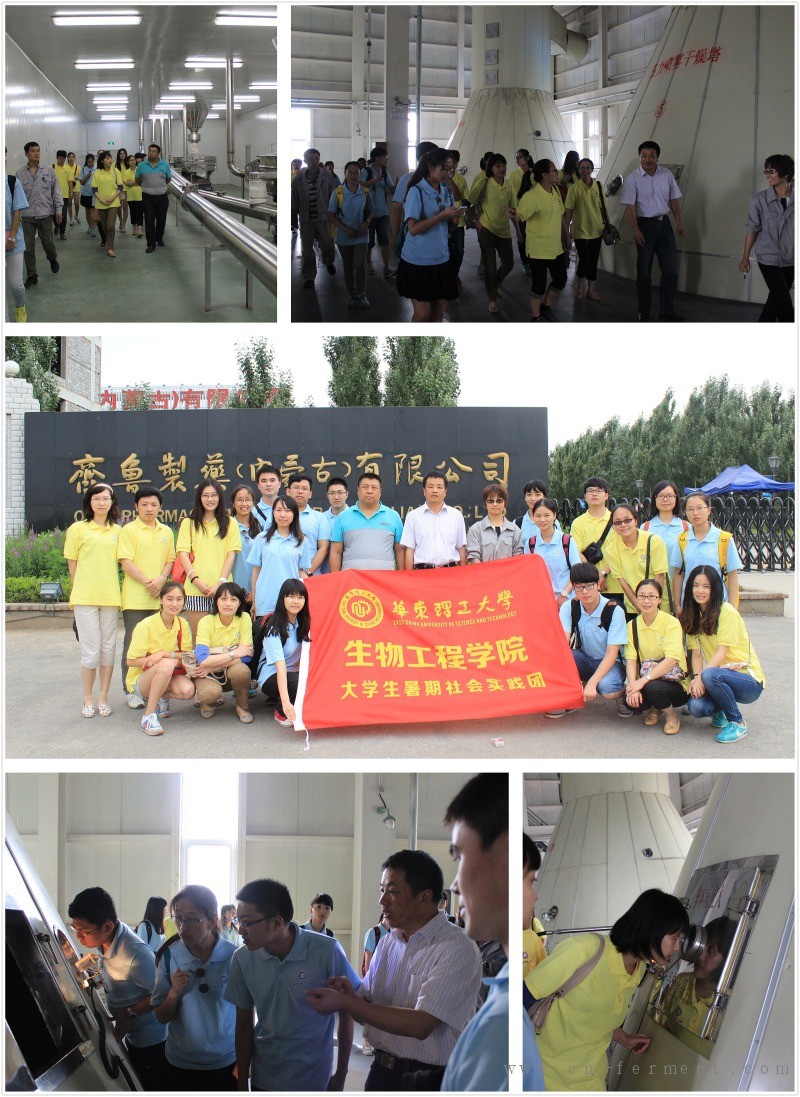 实践团队参观齐鲁制药厂