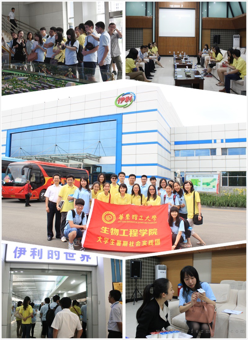 实践团队参观伊利工厂