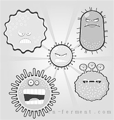科学家在微生物耐药性中发现新机制