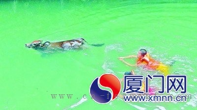 美刊发表整版特写:《中国生物外包产业的新热点》
