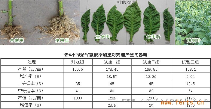 不同聚谷氨酸添加量对烤烟产量的影响