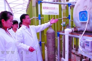 李润植教授(右一)和他的研发团队在检查试验装置运行情况