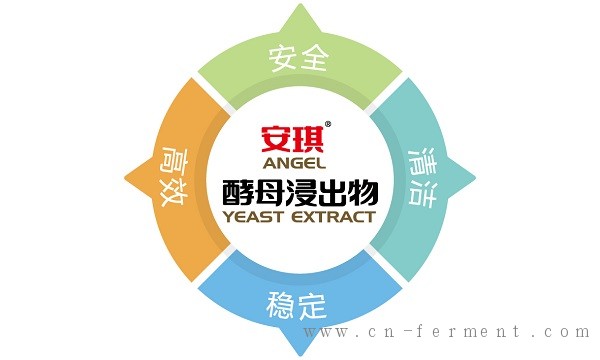 安琪培养基专用酵母粉