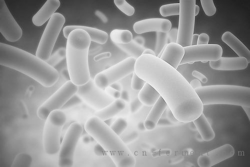 微生物成抗生素污染&ldquo;清洁工&rdquo;