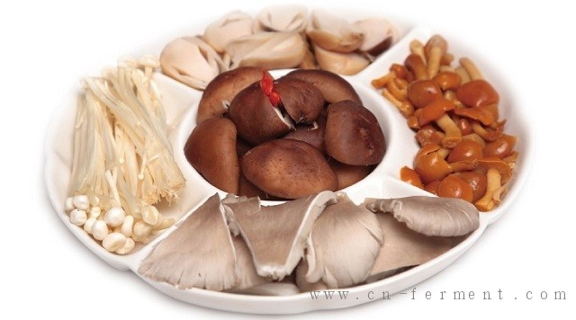 食用菌液态制种