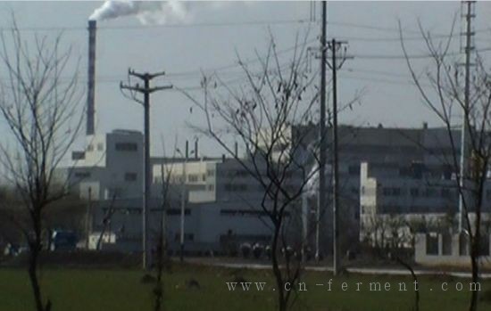 希杰生物科技有限公司的厂房。