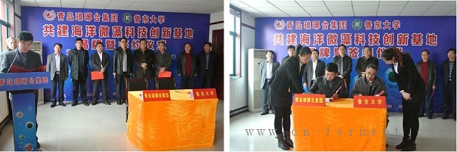青岛琅琊台集团与鲁东大学签约共建&ldquo;海洋微藻科技创新基地&rdquo;