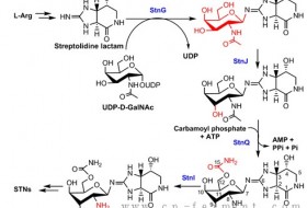 大连金城伟业申请化工泵铸件铸造装置专利防止合模不完全或倾斜