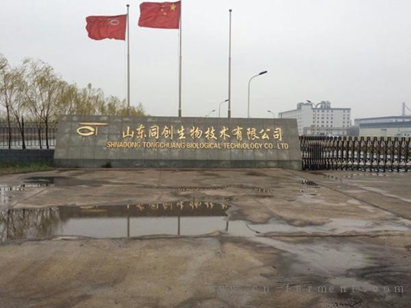 山东信乐破产 同创生物涉3亿银行贷款