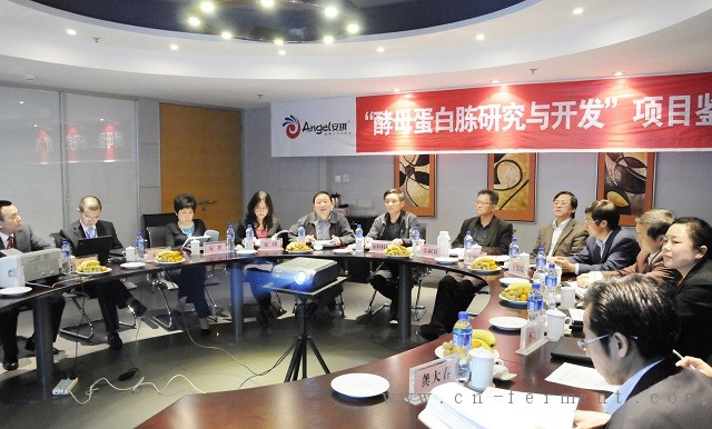 发酵行业的&rdquo;APEC&rdquo;论坛 ：新型有机氮源应用与发展趋势研讨会