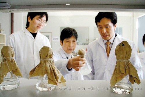 周斌（右一）和科研人员一起正在开展实验活动。 