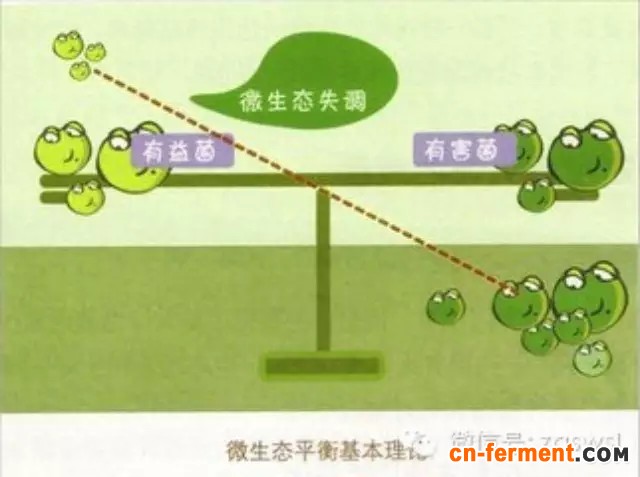 2015年全球益生菌市场将达到300亿（美元）