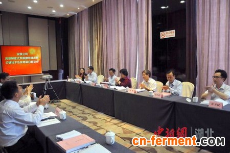 高溶解度试剂级酵母浸出物生产关键技术及应用获突破