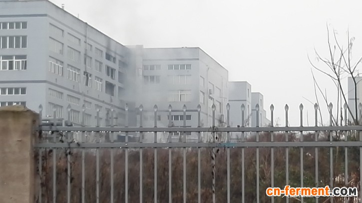 重庆大新莫西菌素车间发生爆炸