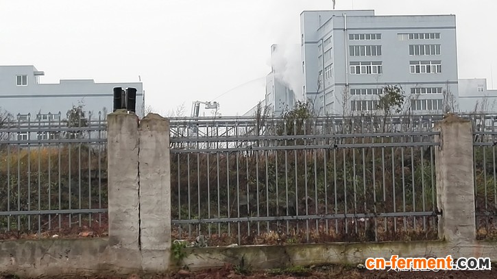 重庆大新莫西菌素车间发生爆炸