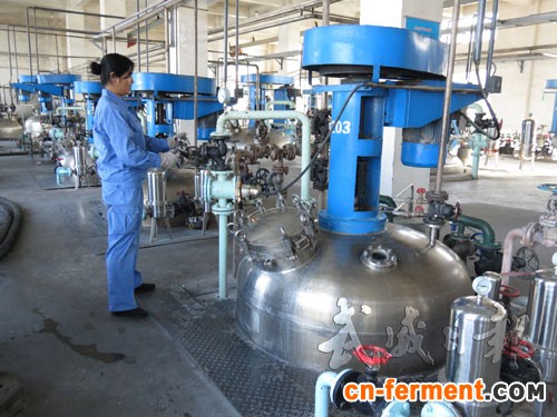 甘肃汇能生物工程有限公司发酵车间一角_硬件