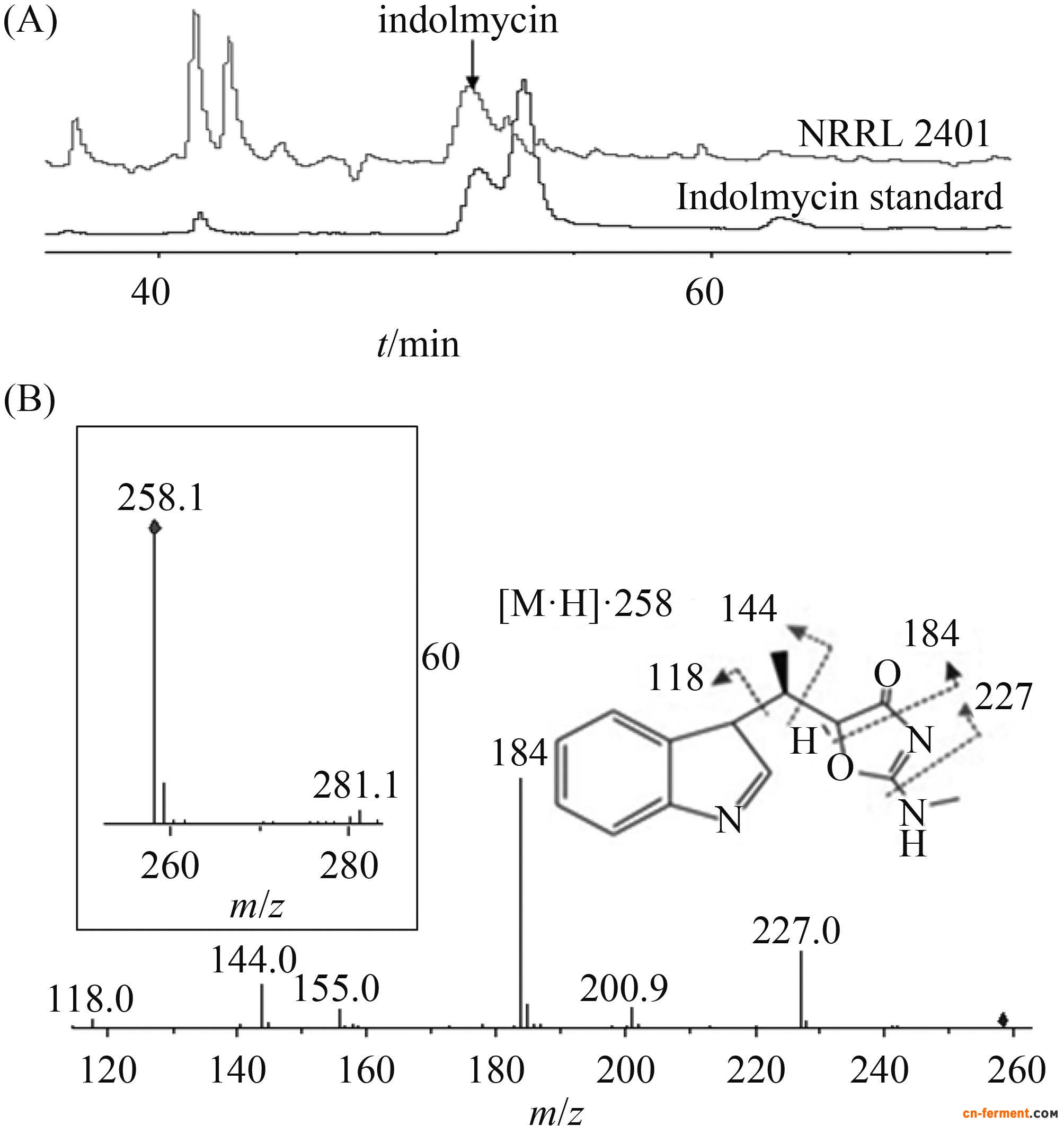 藤黄生孢链霉菌NRRL 2401发酵产物的LC-MS 检测分析