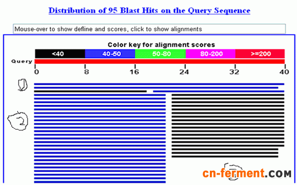 一步步教你利用Blast分析验证引物序列
