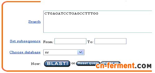 一步步教你利用Blast分析验证引物序列