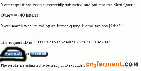 一步步教你利用Blast分析验证引物序列