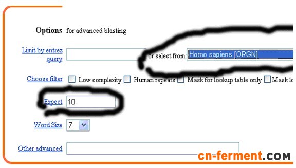 一步步教你利用Blast分析验证引物序列