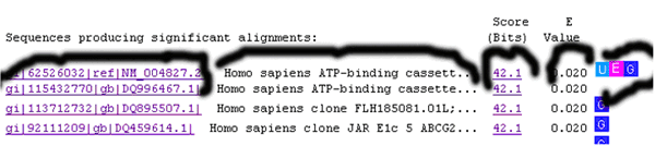 一步步教你利用Blast分析验证引物序列