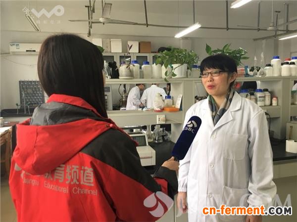 南工大美女教授每天和益生菌打交道