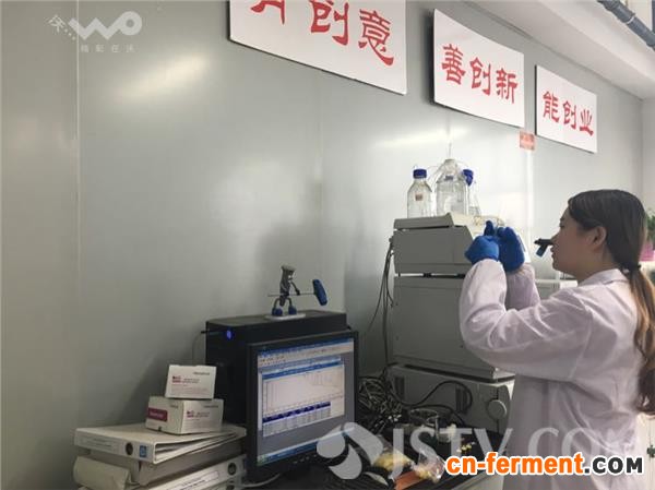 南工大美女教授每天和益生菌打交道