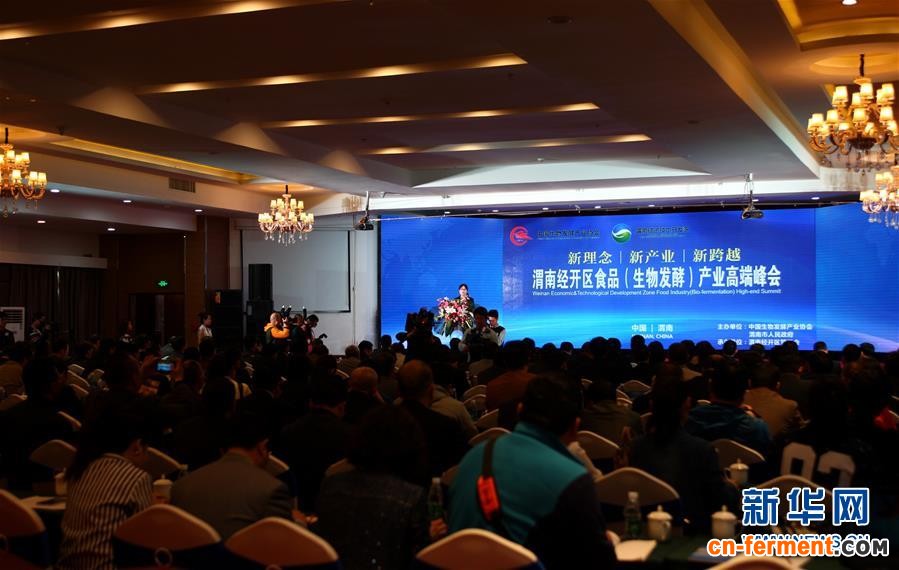 渭南经开区食品（生物发酵）产业高端峰会召开