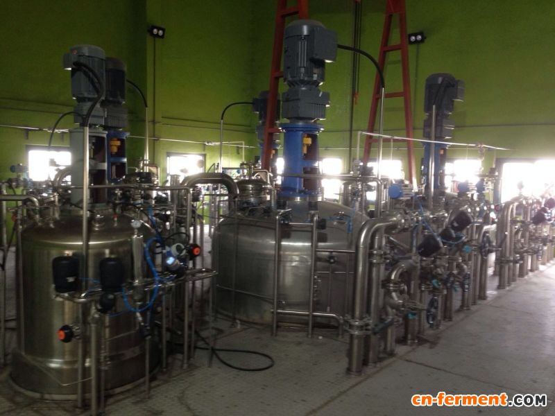 20立方米生物农药发酵生产线