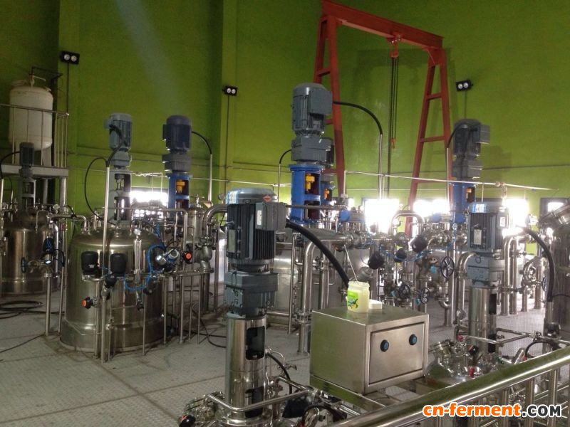 20立方米生物农药发酵生产线