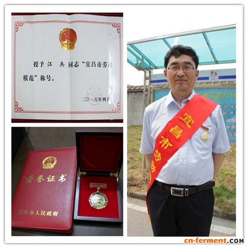 江兵同志荣获&ldquo;宜昌市劳动模范&rdquo;称号