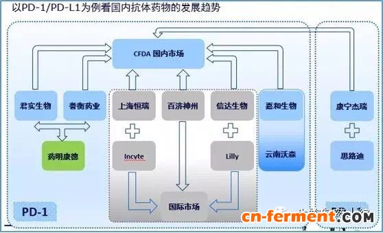 从PD-1/PD-L1抗体看国内生物药研发形势的变化