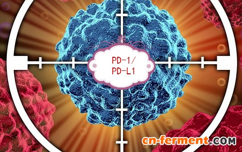 从PD-1/PD-L1抗体看国内生物药研发形势的变化