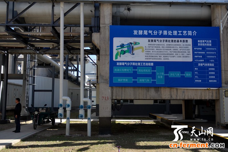 发酵尾气分子筛处理工艺简介