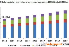发酵法生产化学品未来六年发展报告
