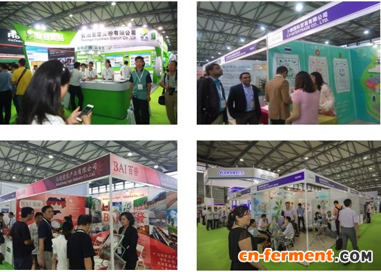 展会现场热闹纷呈