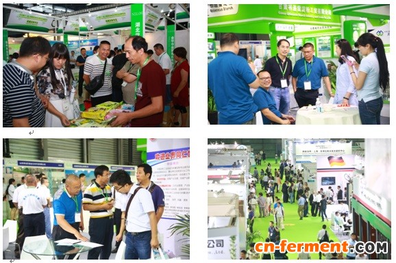 展会现场热闹纷呈