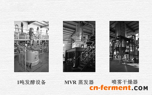 东营中试基地的主要发酵设备