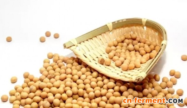 微生物发酵豆粕产活性大豆肽饲料的研究进展